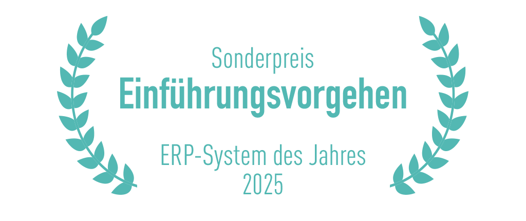 Sonderpreis: Einführungsvorgehen, ERP-System des Jahres 2025